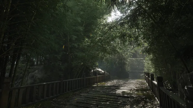 A boardwalk through bamboo.