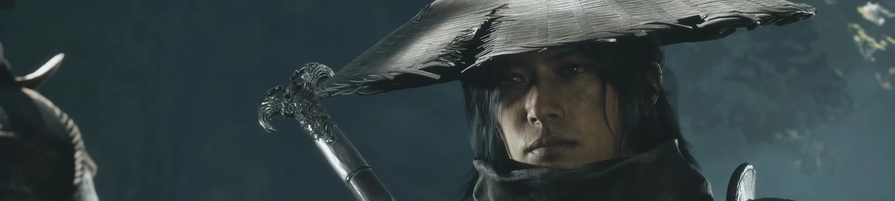 A face in shadow under a wide straw hat, a sword hilt over the shoulder.