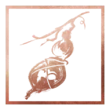The Healer’s Legacy trophy icon